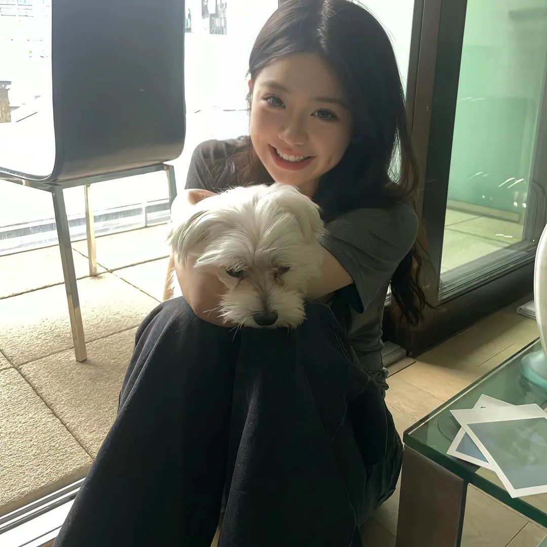 机器战犬